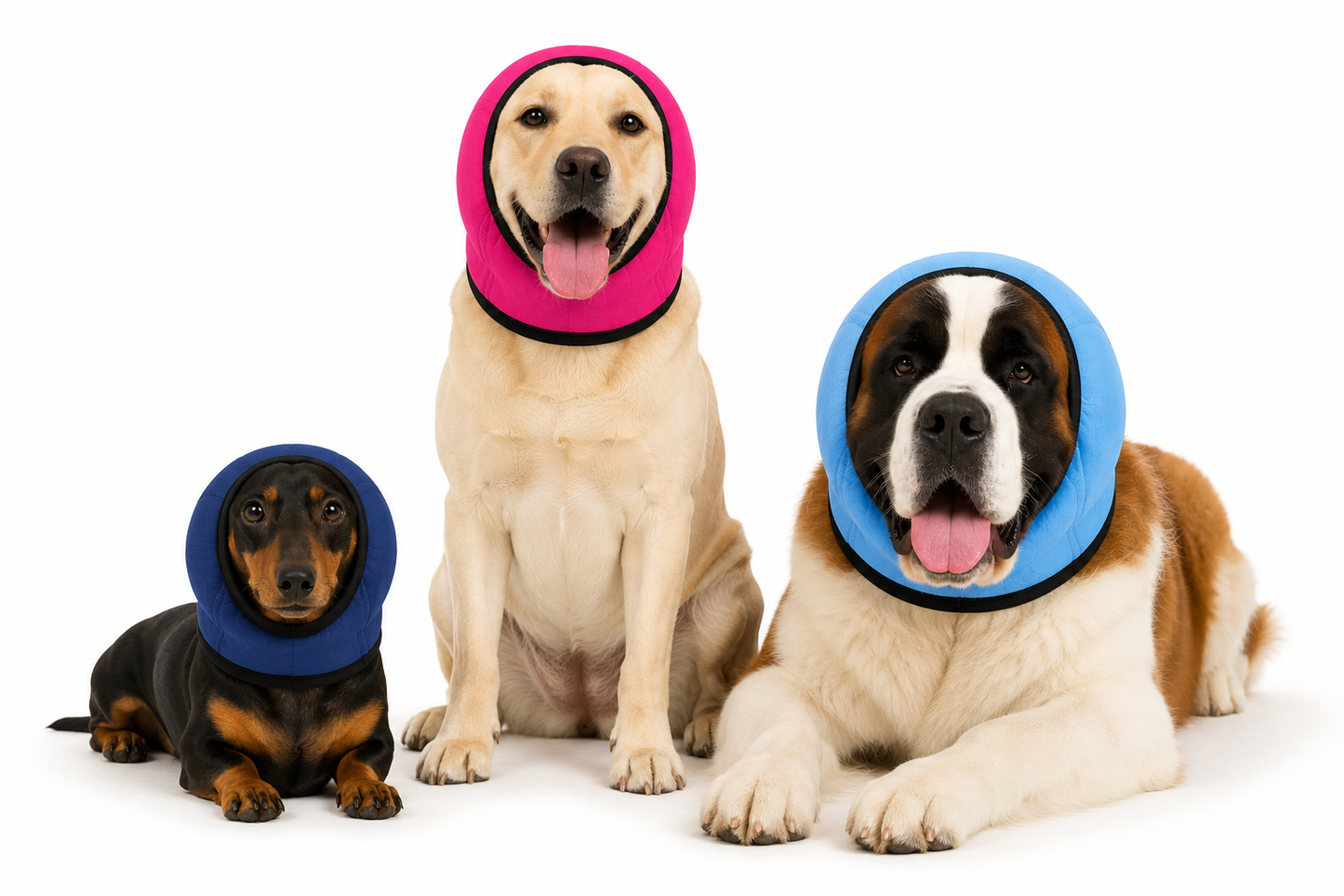 Capucha para Perros para Baño, Secado y Reducción de Ruido